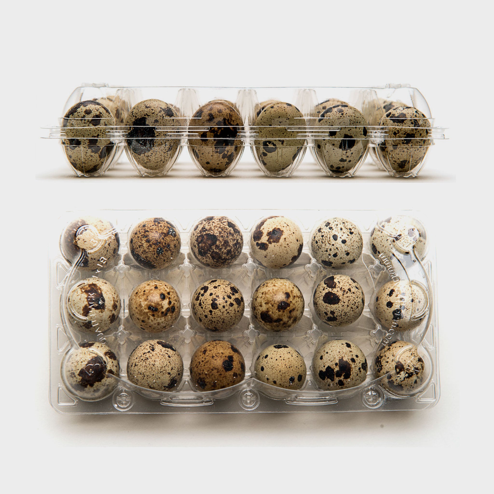 100 X Brown Quail Egg Cartons For 18 Eggs