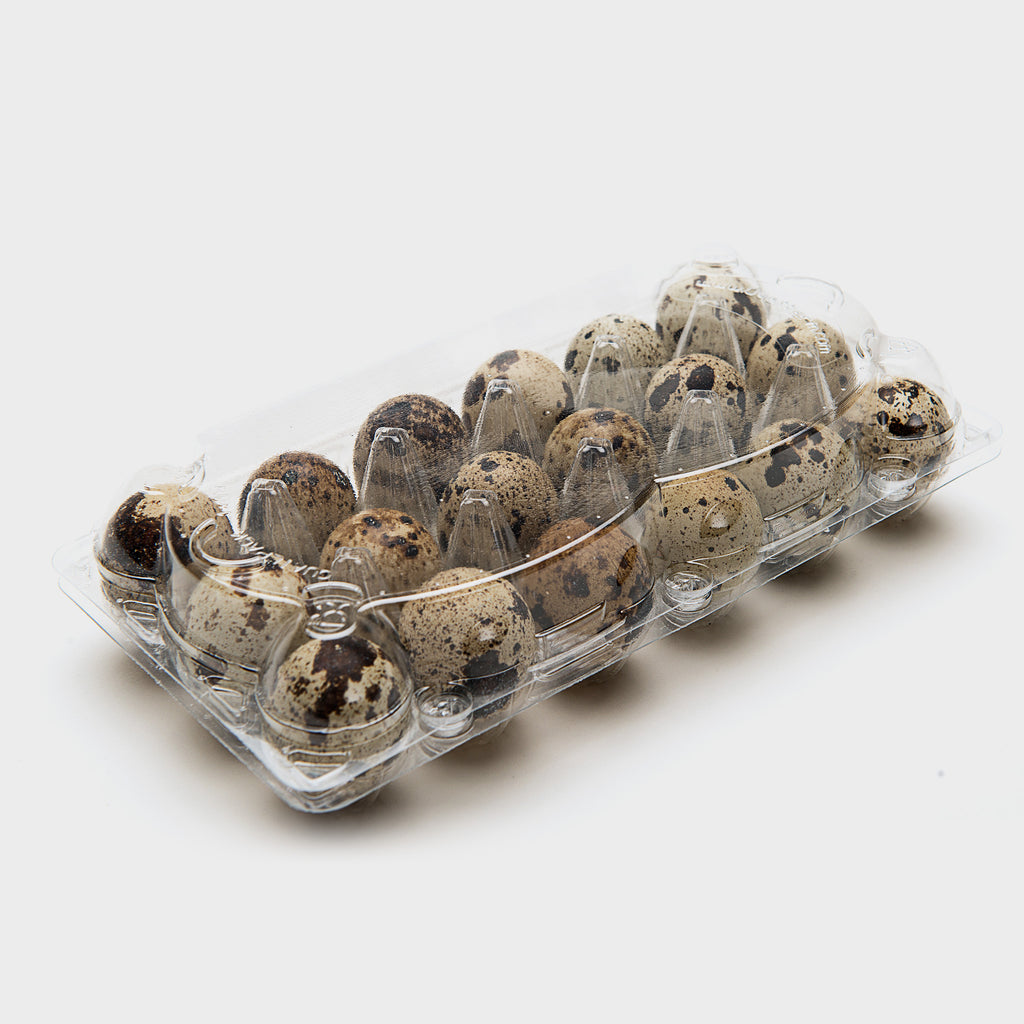 330x 18 Quail Egg Carton RPET Unlabelled Bulk Wholesale Kuhn Corp