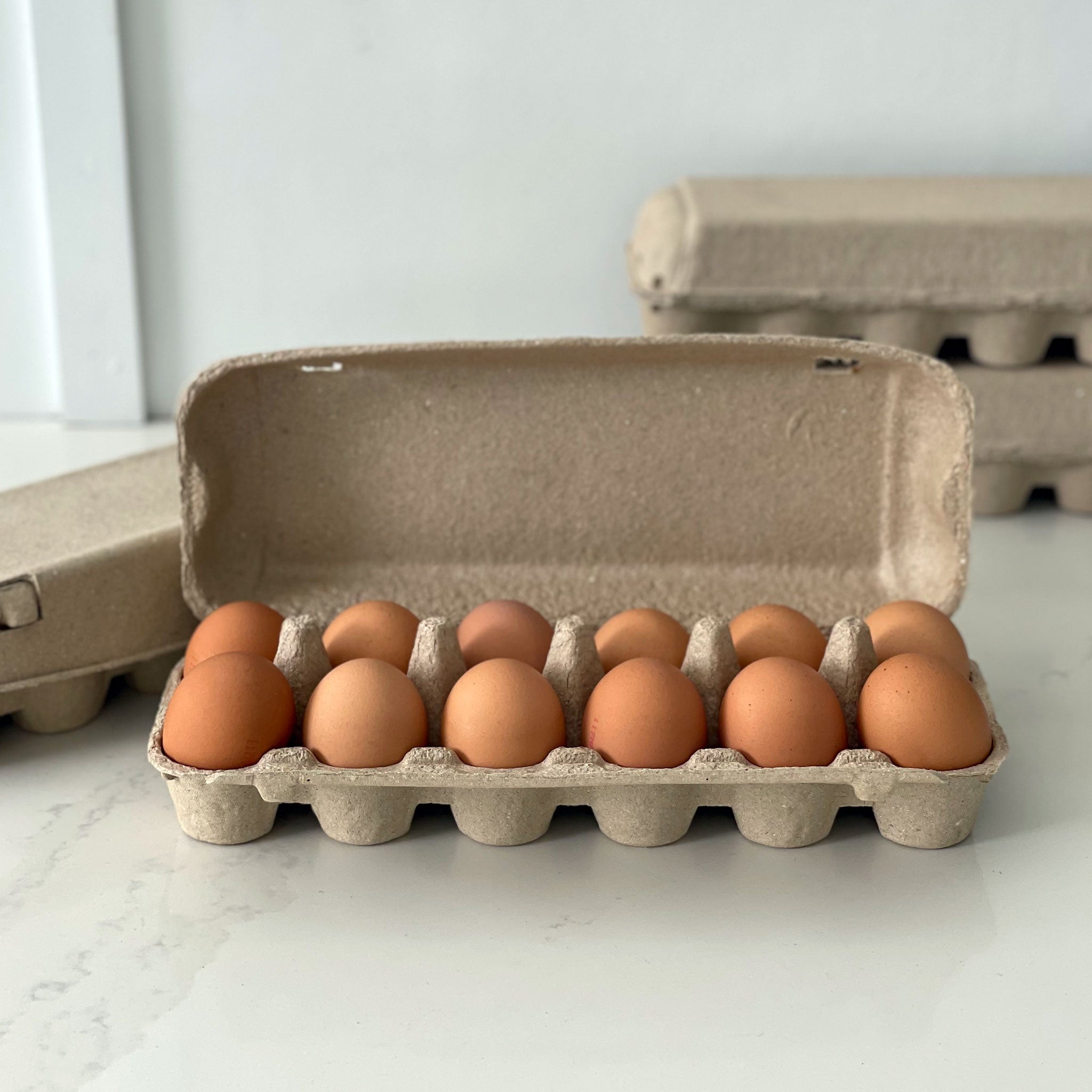 Egg Carton Dozen Egg Carton Dozen