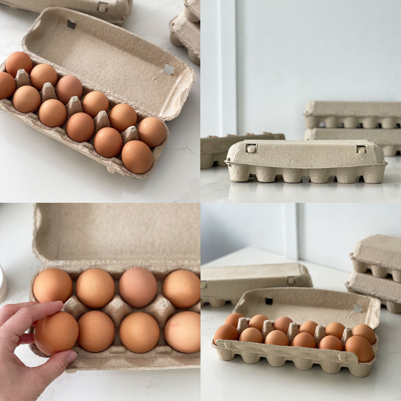 Pulp Cardboard Egg Cartons Kuhn Corp Print & Packaging