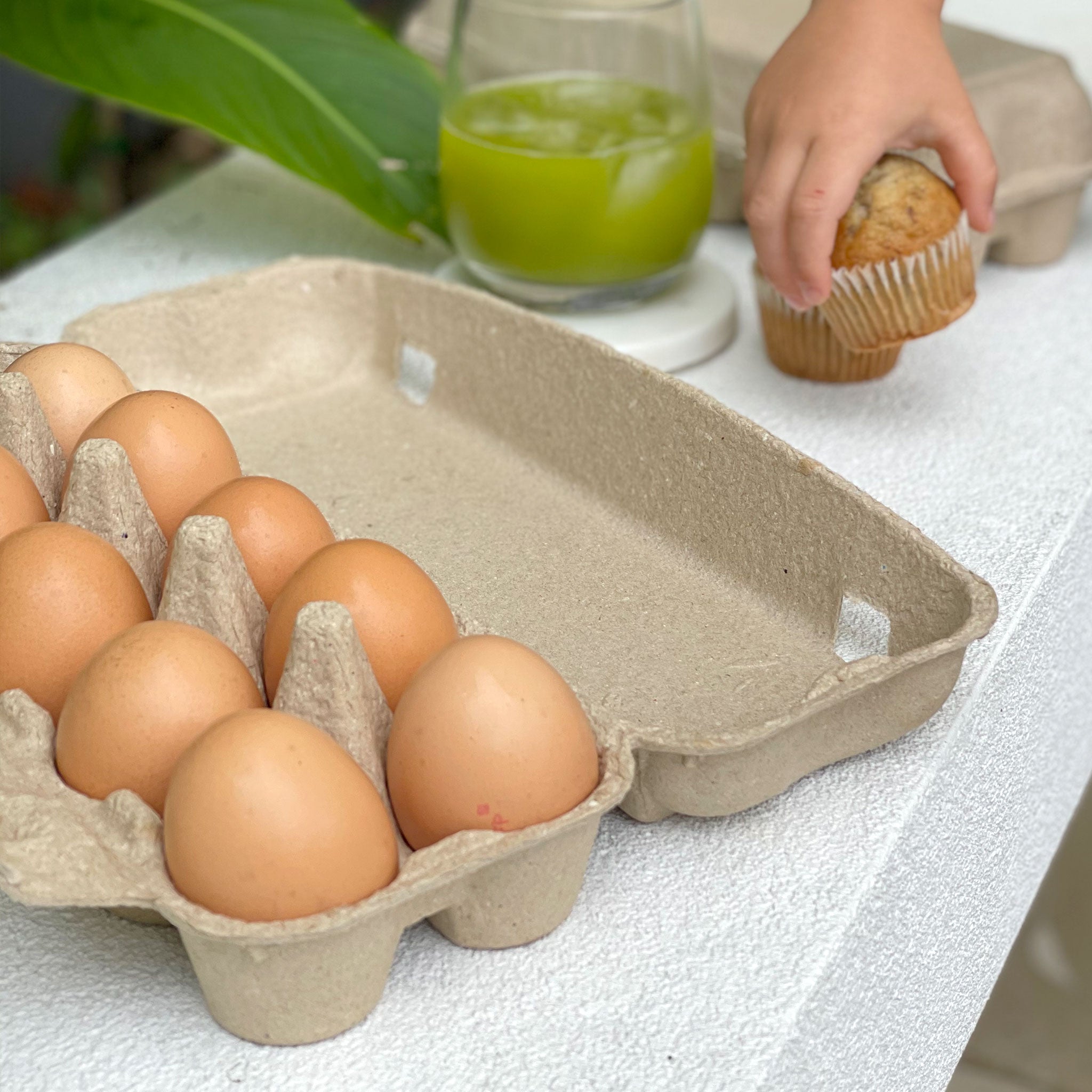 190 x 12 Cell Standard Pulp Egg Cartons - Unlabelled