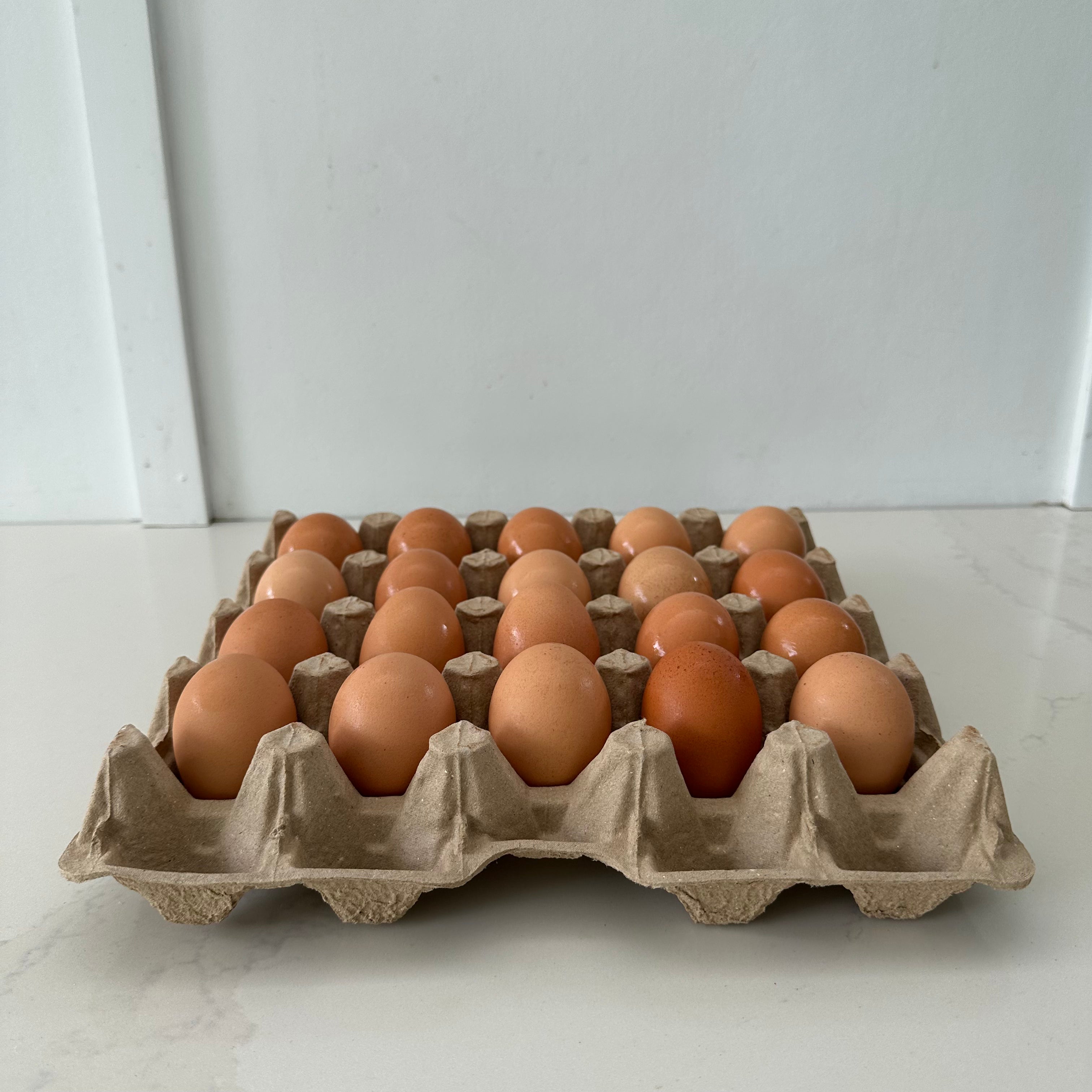 110 x 20 pocket Jumbo Pulp Egg Catering Trays