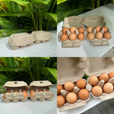 180 x 2x6 Egg Standard Pulp Cartons - Unlabelled